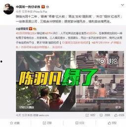 沾化出轨爆料案件视频,真相与道德的碰撞